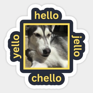 Husky Squinting Hello Yello Jello Sticker